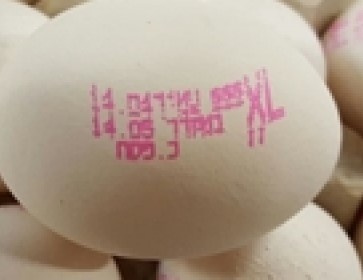 להפסיק לחתום על הביצים בצבע אדום זה נראה לפעמים דם בביצה