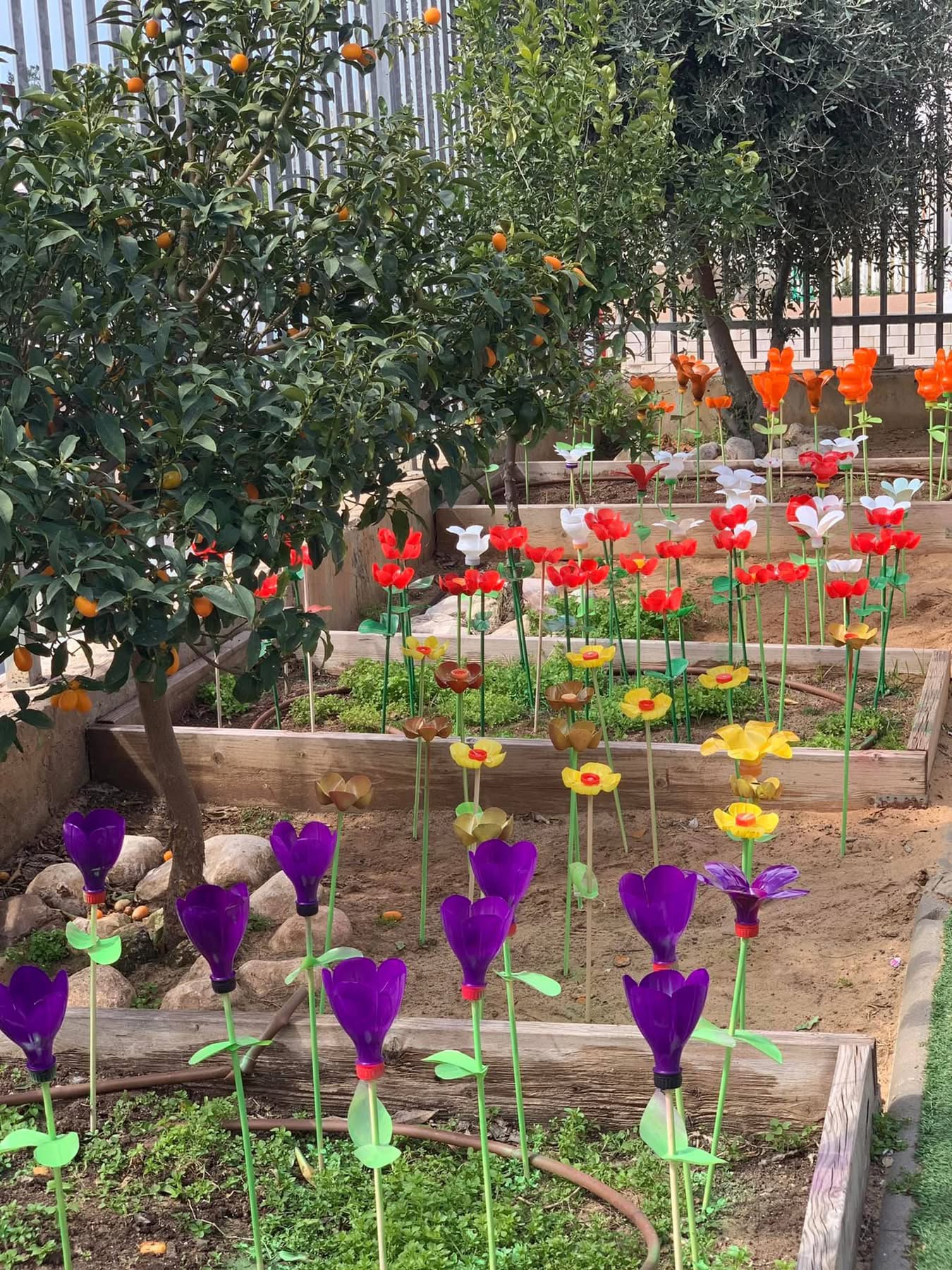 להשאיר את הגן באשדוד!
