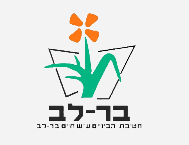 תמיכה במנהל חטיבת בר לב
